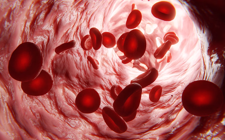 A microscopic view of red blood cells flowing in a vein.